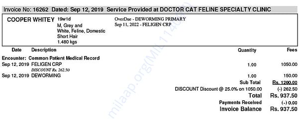 Cooper Kitten Vaccination