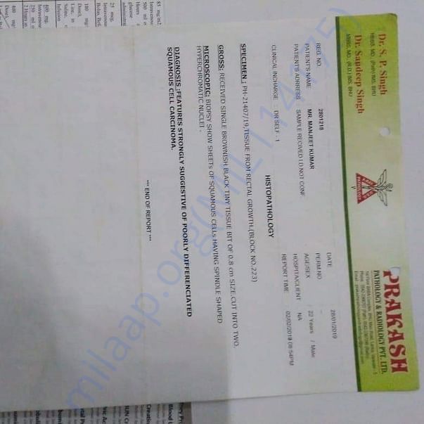Admission letter