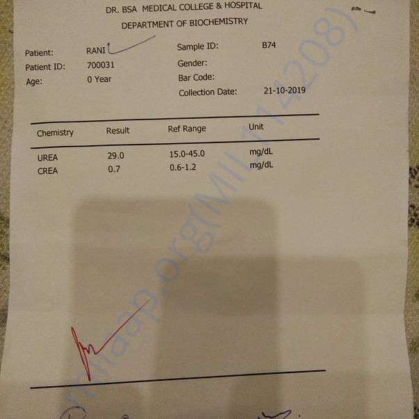 Medical Report