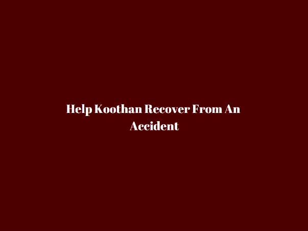 Help Koothan Recover From An Accident
