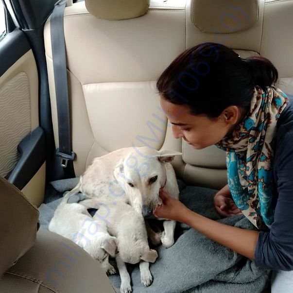 Mickie with their pups going for vaccination