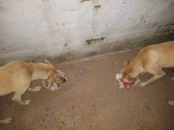 Feeding anytime anywhere