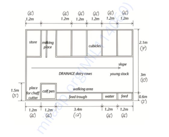 Design Choosen For Shed