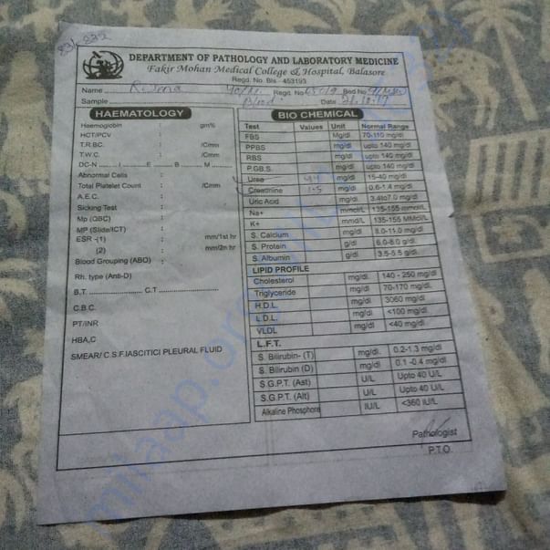 Medical Report