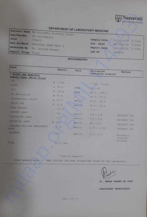 medical reports 2