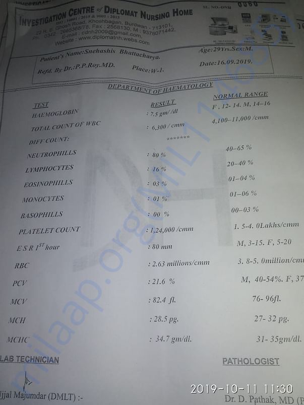 Document