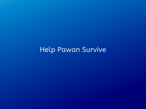 Help Pawan Survive
