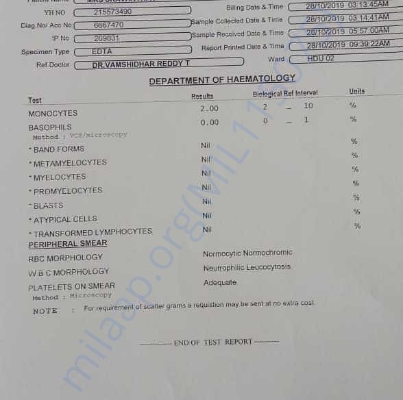 Medical Report