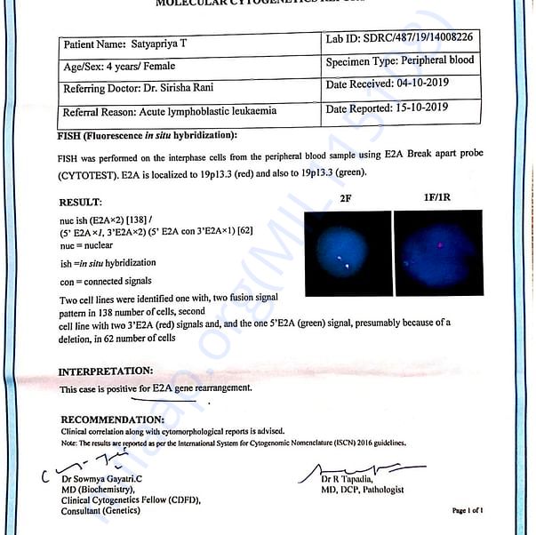 Medical Report