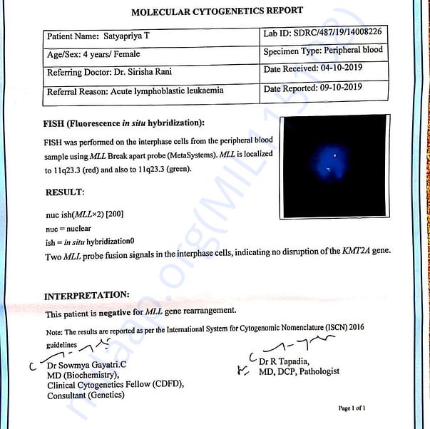 Medical Report