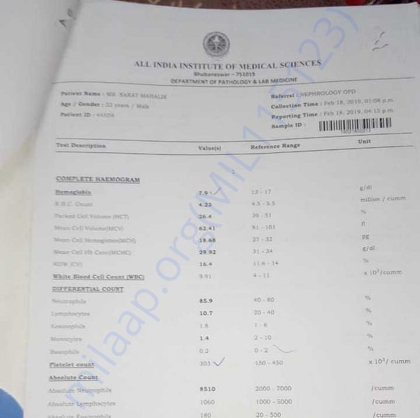 Admission letter