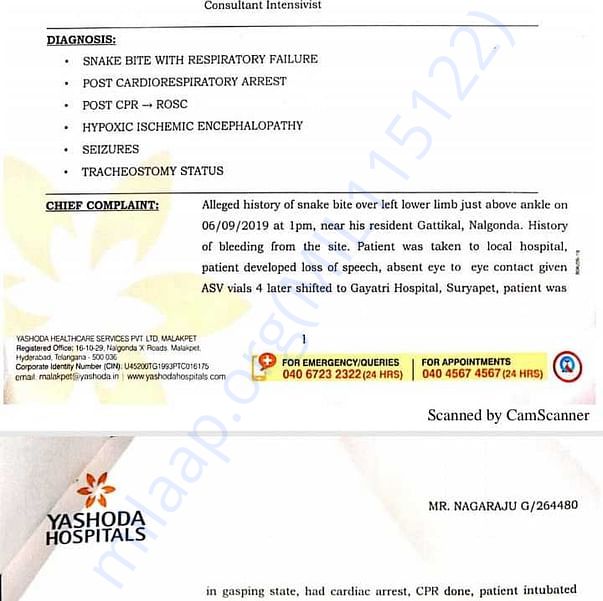 Medical Report