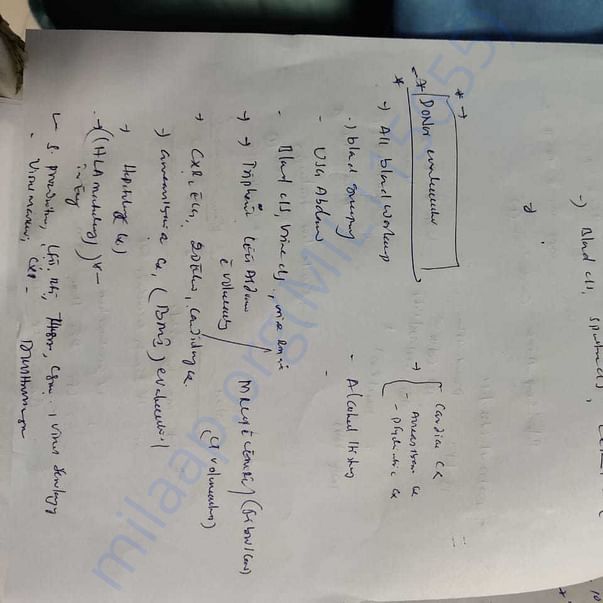 Medical Report