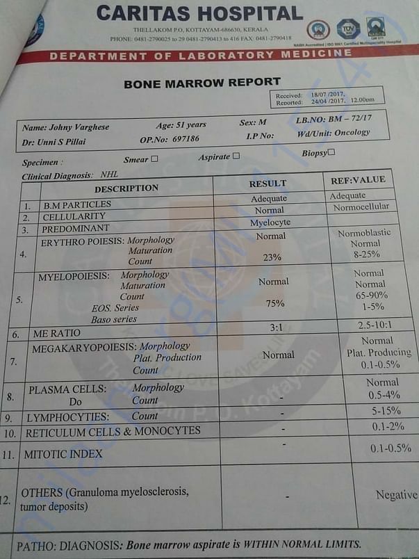 Bone Marrow Report