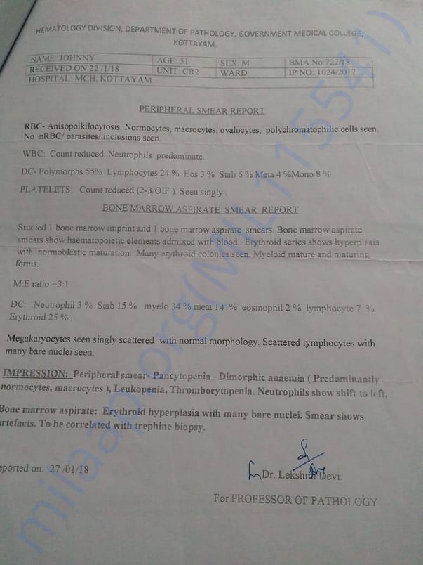 Bone Marrow Aspirate Smear Report