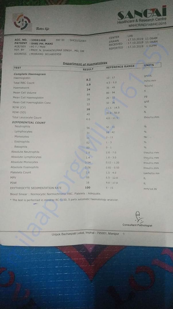 Document