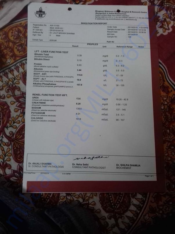 Zain ali Report
