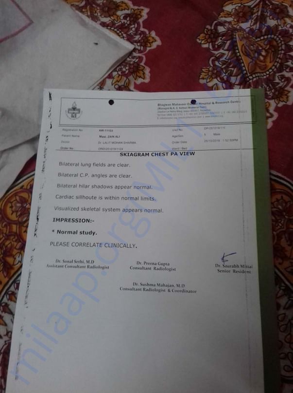 Zain ali Report