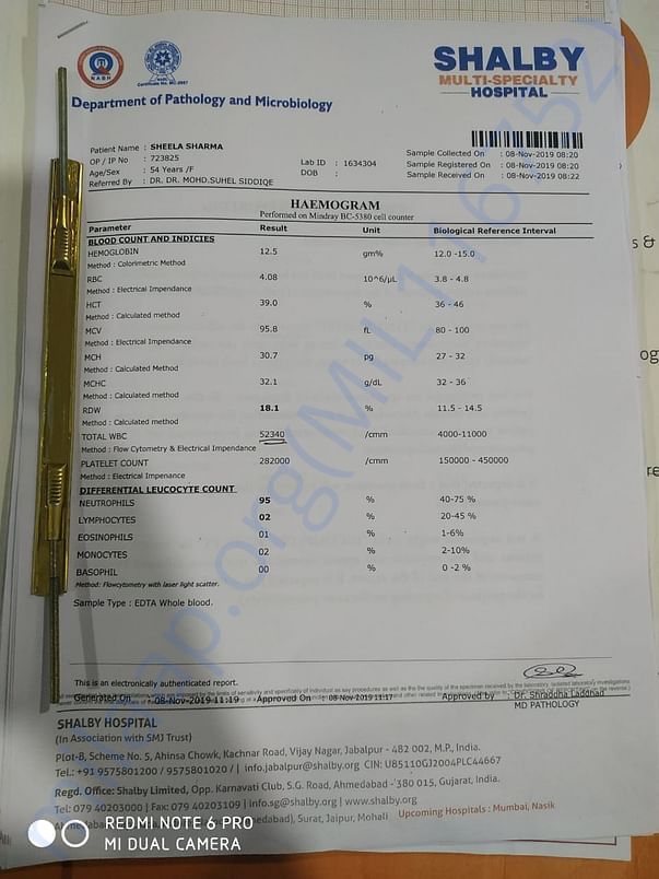 Current blood reports