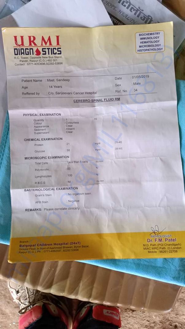 document