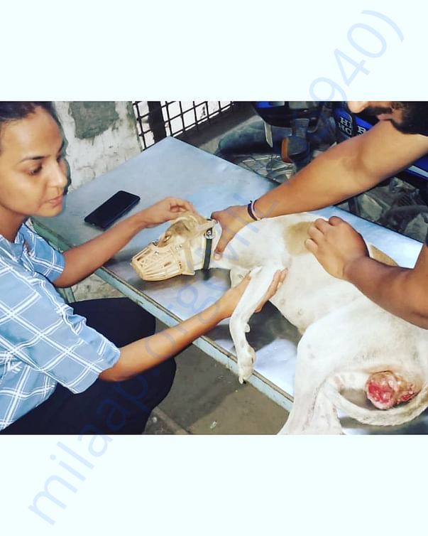 Chamki vaginal tumour chemo therapy