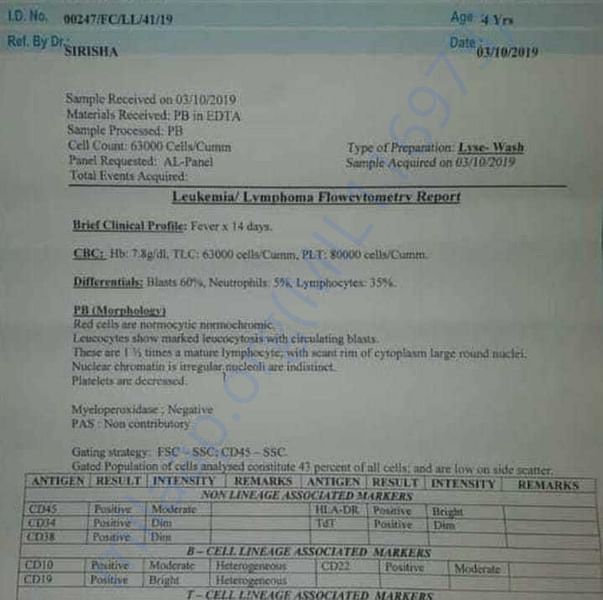 Medical Report