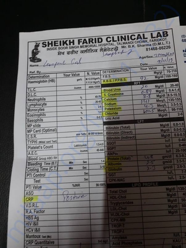 document