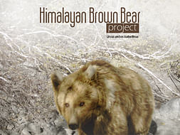 Himalayan Brown Bear Conservation in Zanskar