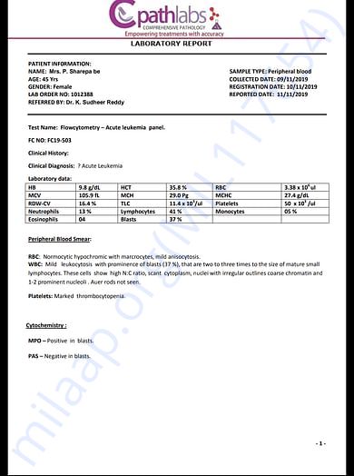 Document