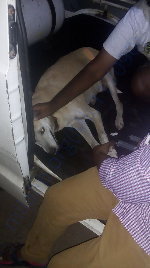 Barwala recieving IV treatment in mobile van
