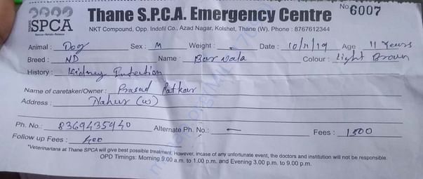 OPD Receipt of Thane SPCA for first four days