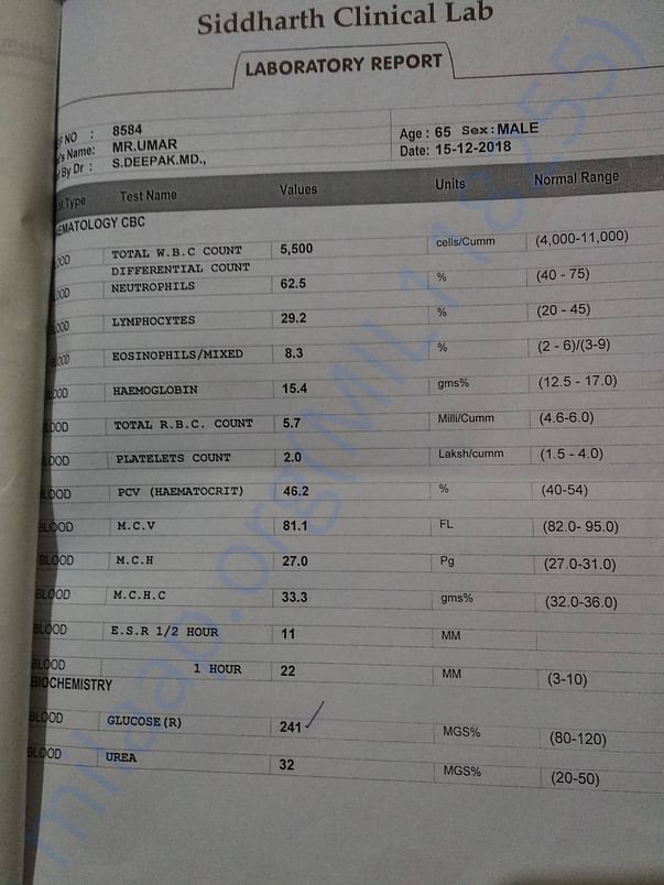 Lab Report