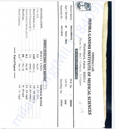 Kidneys function test report