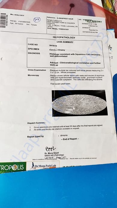 Document