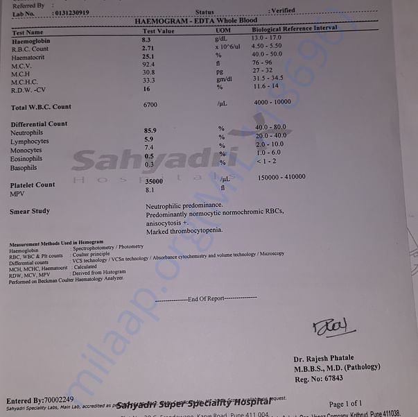 Medical Report