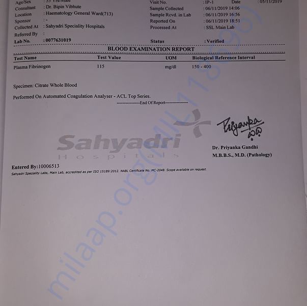 Medical Report
