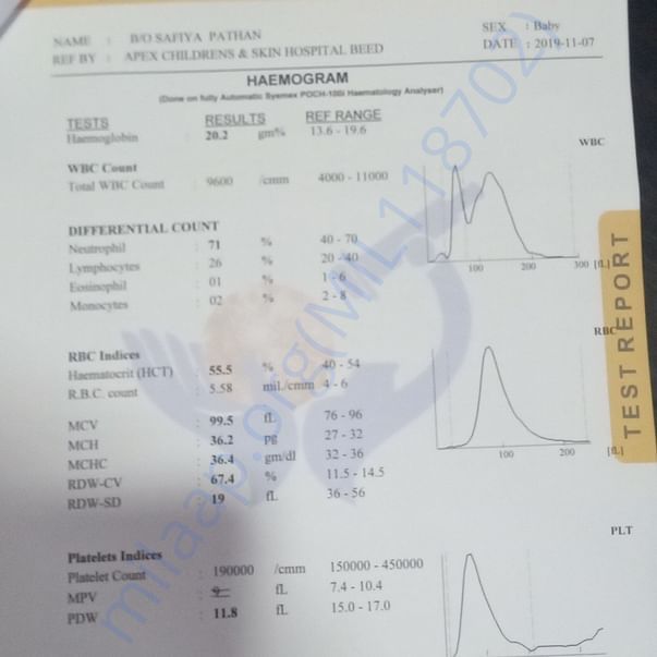 Medical Report