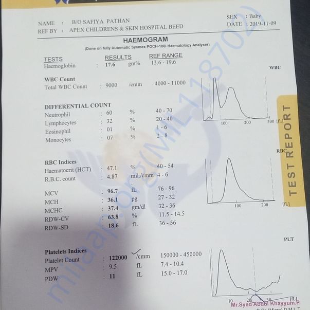 Medical Report