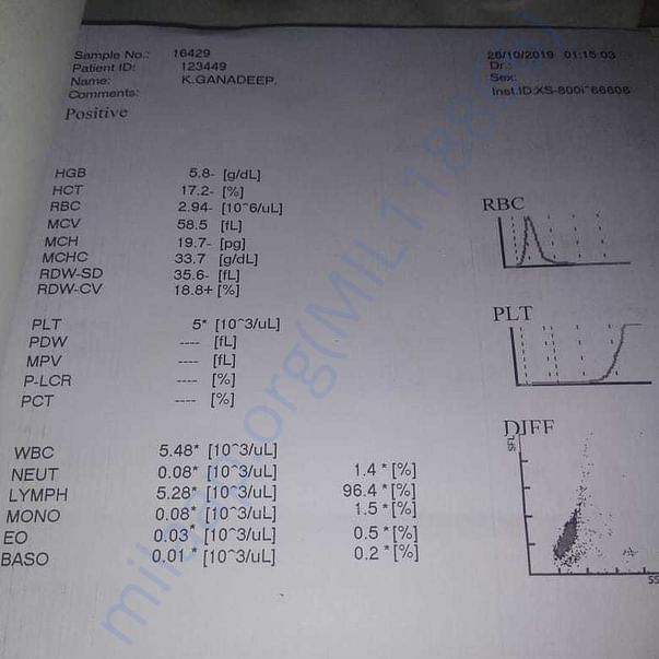 Medical Report