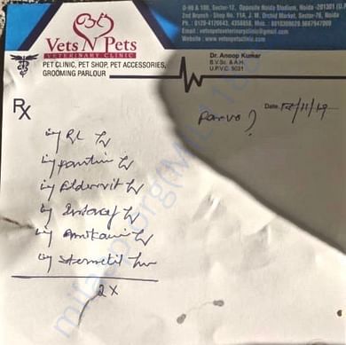 Medical Report