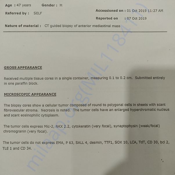 Medical Report