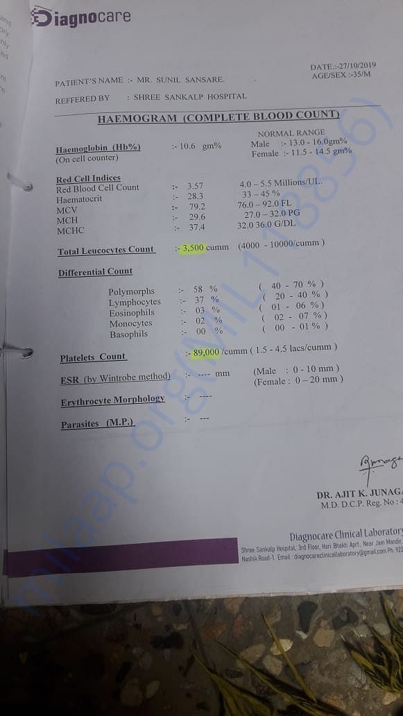 medical report