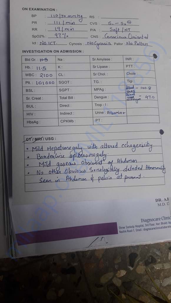 medical report