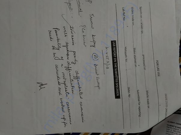 document 1
