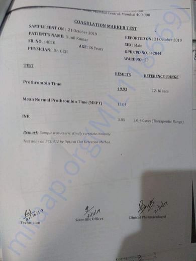Medical Report 2