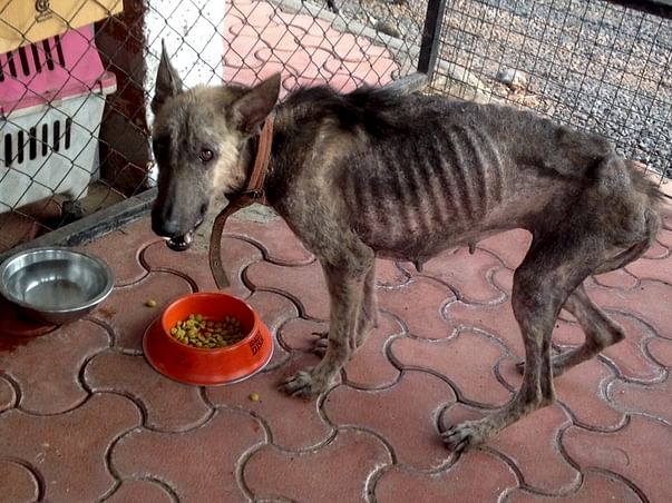 This Christmas, Help give Jody the Gift of Life