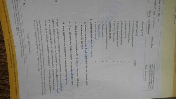 Document