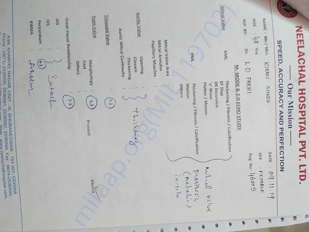 Document