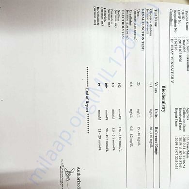 Estimation Letter