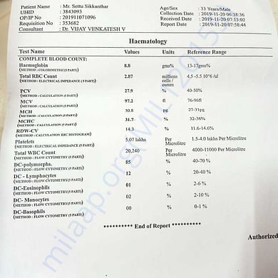 Estimation Letter